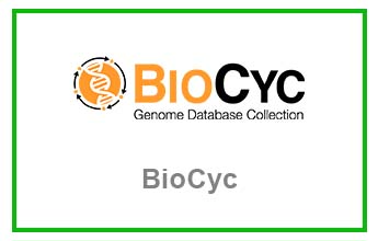 BioCyc