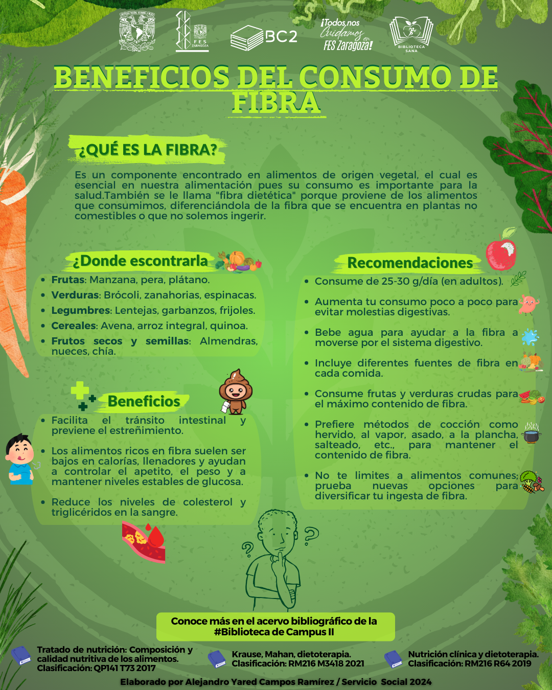 Infografía Beneficios del Consumo de Fibra