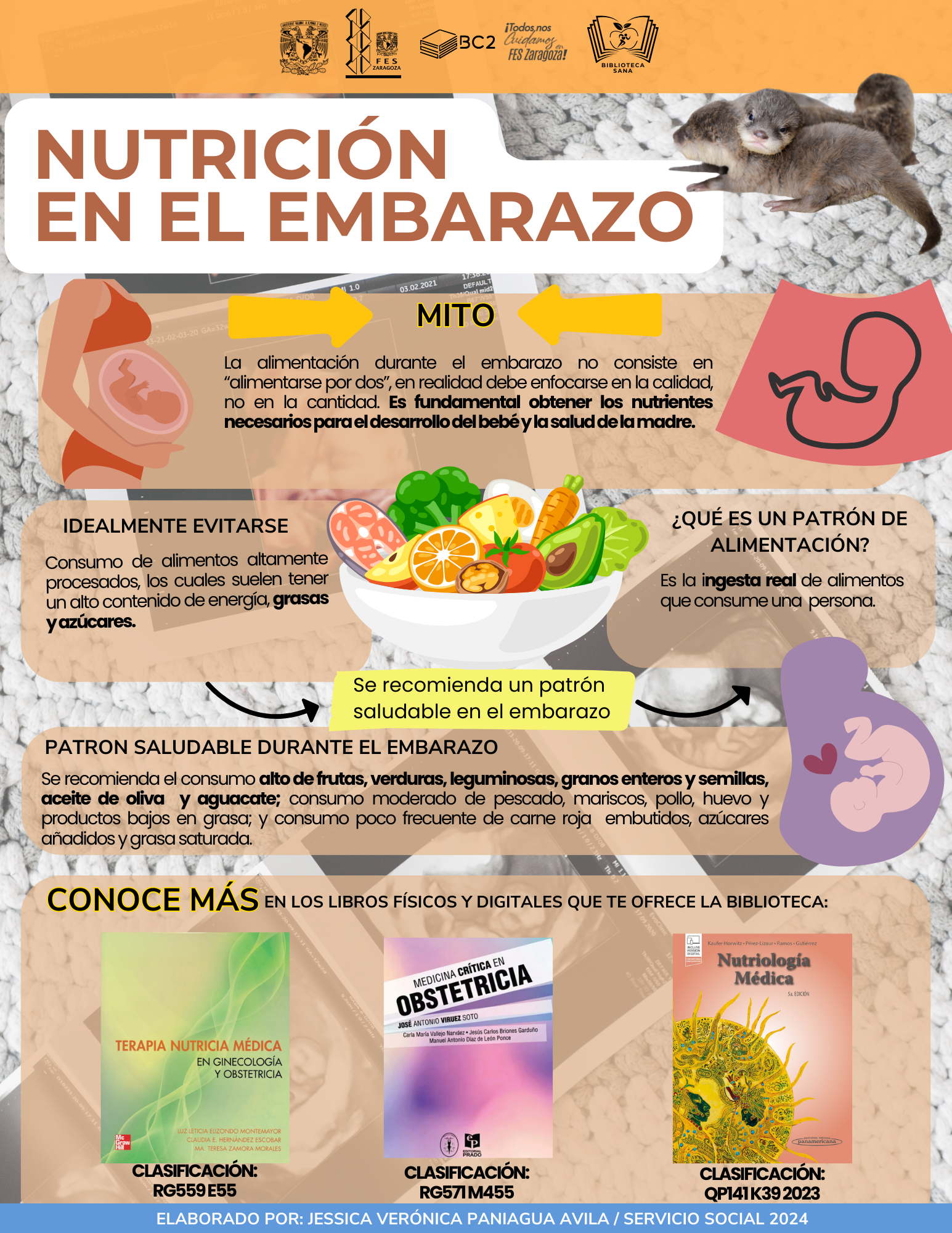 Infografía Nutrición en el Embarazo