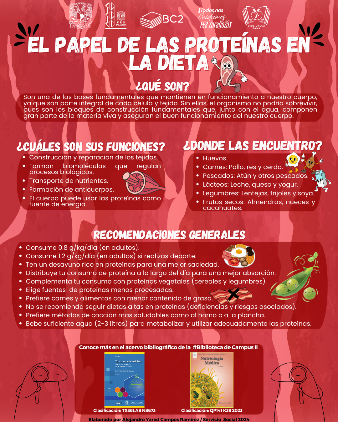 Infografía El Papel de las Proteínas en la Dieta
