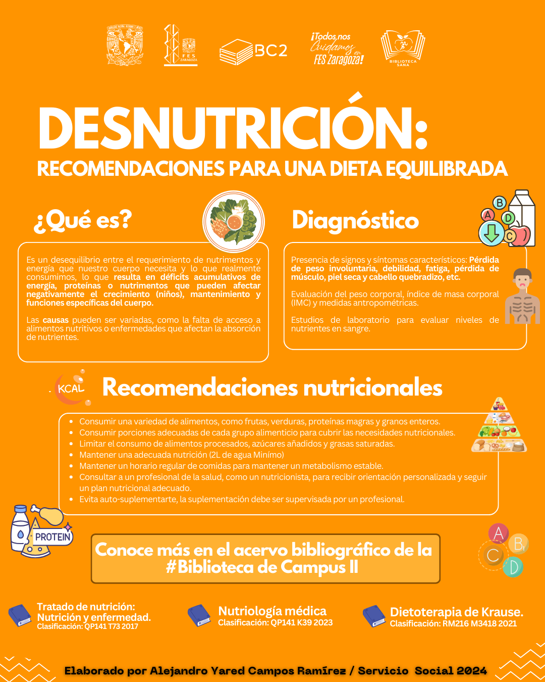 Infografía Desnutrición: Recomendaciones para una Dieta Equilibrada